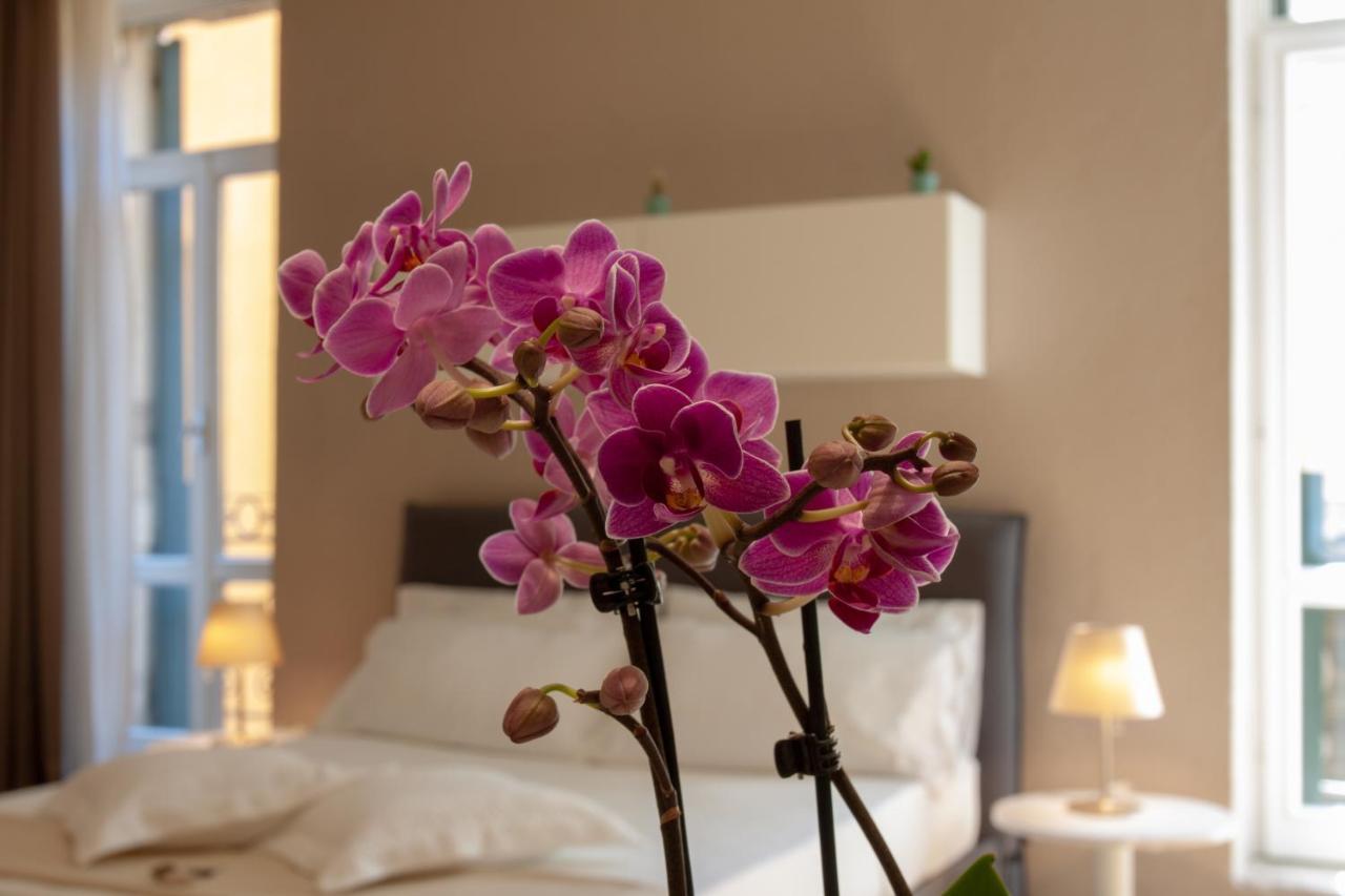 Apartamento Domus *