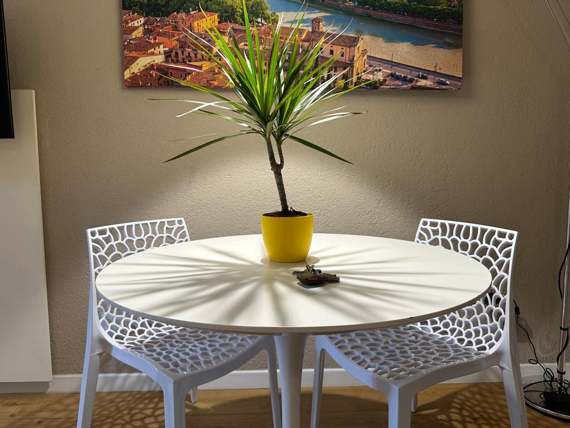 Apartamento Domus